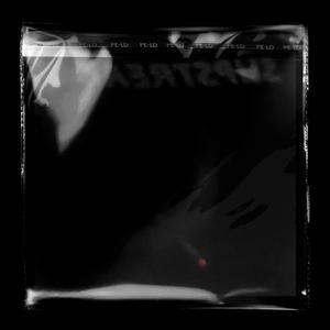 先抑为敬（prod by Lv9）