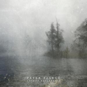 You Let the Light Shine Through