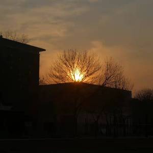 今天我只想你了一次（翻唱蓝心羽）