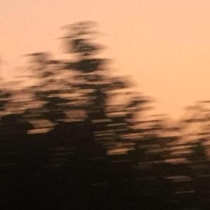 good to see you(pord by bbbluelee)