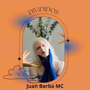 Dividido