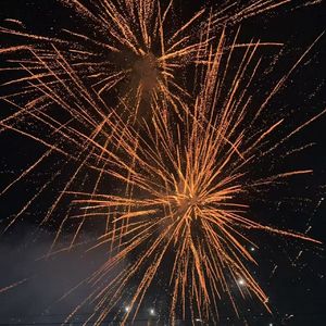 悖论茧中悖论茧虚数枝