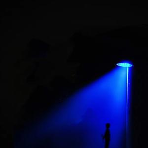 没能成为你的白马 杨天一