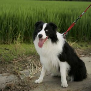 只为那时与你相遇