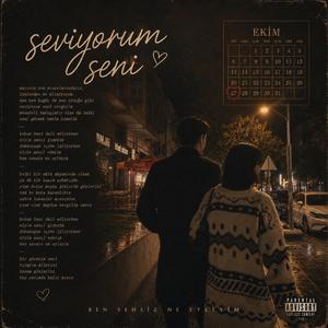 Seviyorum Seni