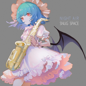 Night Air