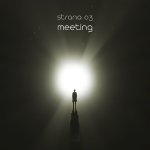 Meeting