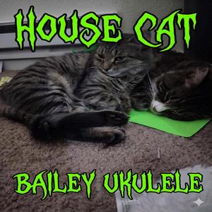 House Cat