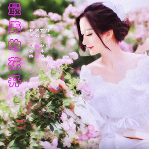 最美的花开 (伴奏)