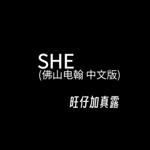 SHE (佛山电翰 中文版)
