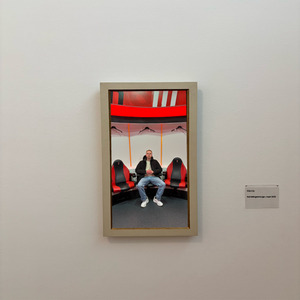 Inschattingsvermogen