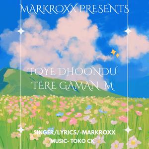 TOYE DHOONDU TERE GAMAN M