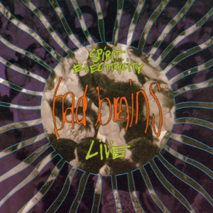 Day Tripper/She's a Rainbow