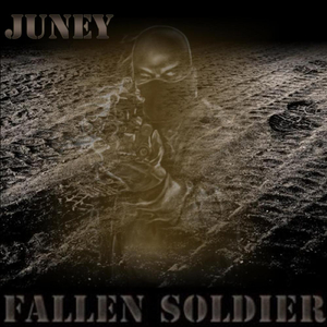 Fallen Soldier