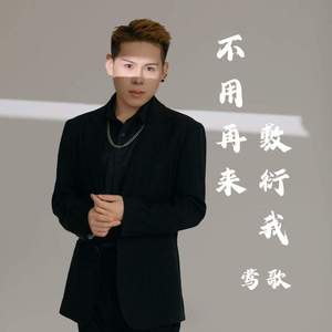 不用再来敷衍我