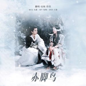 赤脚鸟（八斋少年同人曲-Cover王可）