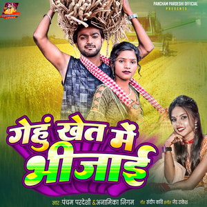 Genhu Khet Me Bhigai