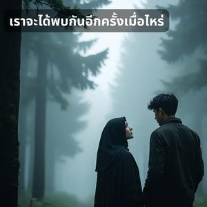 เราจะได้พบกันอีกครั้งเมื่อไหร่