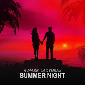 Summer Night (Extended Mix)
