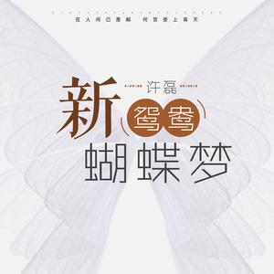 新鸳鸯蝴蝶梦（完整版)