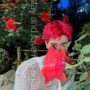 在夏天(stay and love me again)