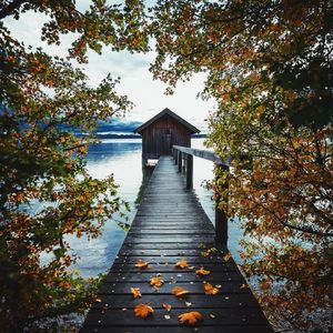 月下独酌（古筝曲）