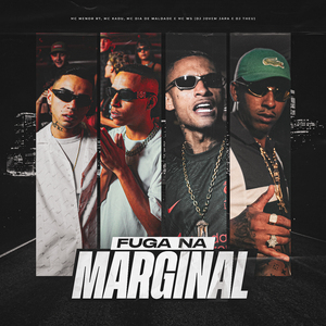 Fuga na Marginal