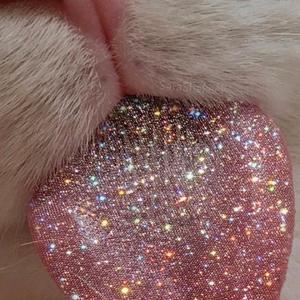 月亮粑粑咿儿哟