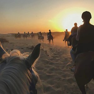 我是杰瑞米瓦德