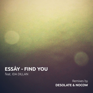 Find You (Desolate's Get Together Mix)