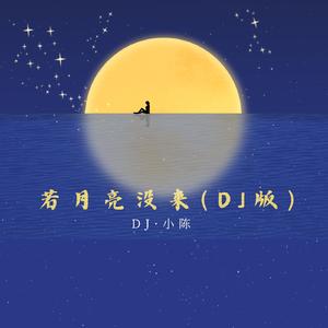 若月亮没来(DJ版)