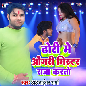 Dhori Me Aungari Mister Raja Karto