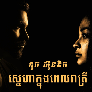 ស្នេហាក្នុងពេលរាត្រី