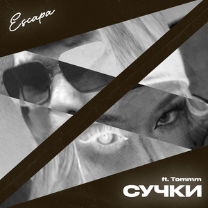 Сучки