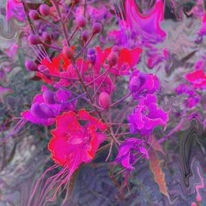 KEEPWATCHIN (feat. BREAD)