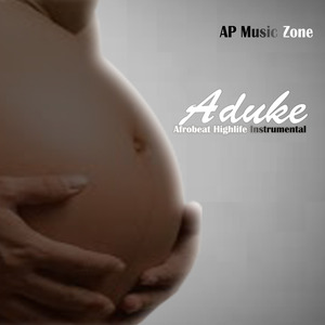 Aduke (Afrobeat Highlife Instrumental)
