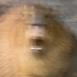 ミッドナイト・リフレクション