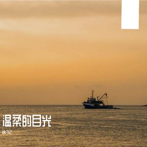 温柔的目光 伴奏