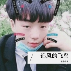 追风的飞鸟