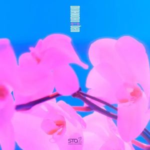 梦中梦-DEMO（翻自 NCT U）
