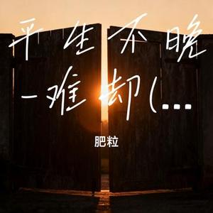 平生不晚 难却 (DJ细霖版) (肥粒 Remix)