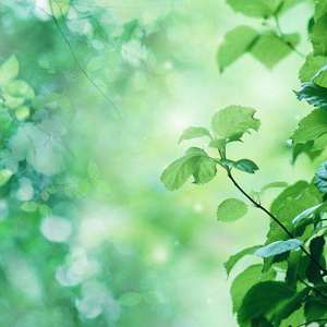 让我心动的人让我心痛