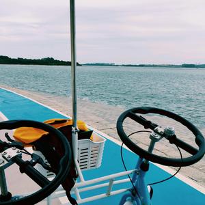 [FREE]Wandering Life