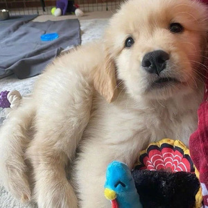 忽然之间--莫文蔚