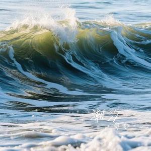 潮汐 (Cover IN K & 安苏羽 & 傅梦彤)