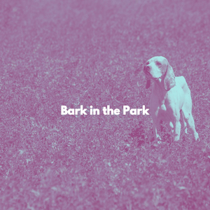 Extraordinary Moods for Ocean Drives