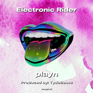 Electronic Rider