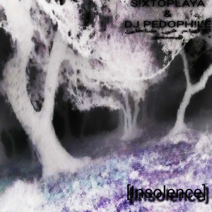 Insolence