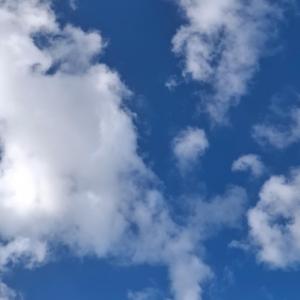 Presente que nunca se esquece