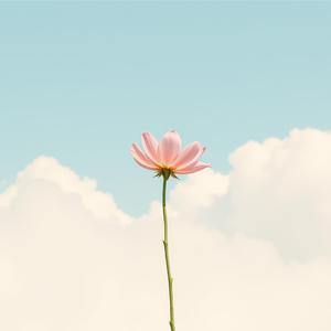 Timlai Samjhindai by @crashinghighpassfilters2576